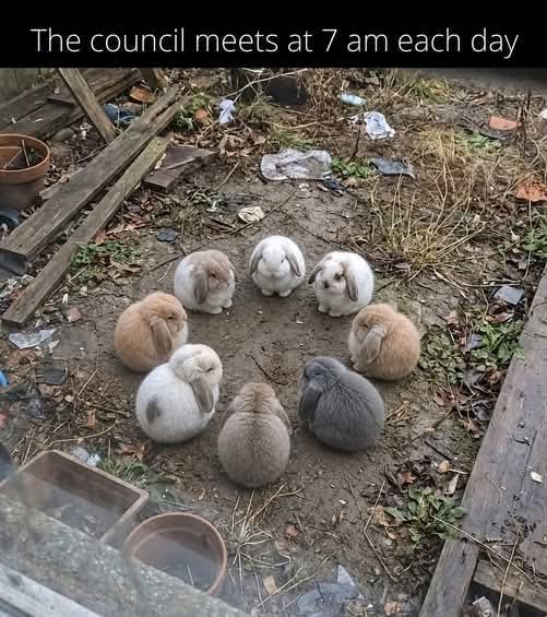animalpopular9's tweet photo. https://t.co/XIW4sVvRD8