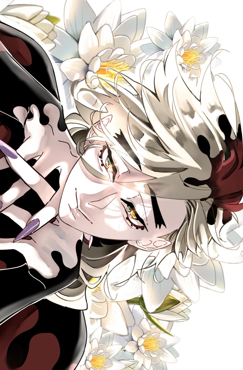 liszukung's tweet photo. 🪷 https://t.co/hXTnTHw17H