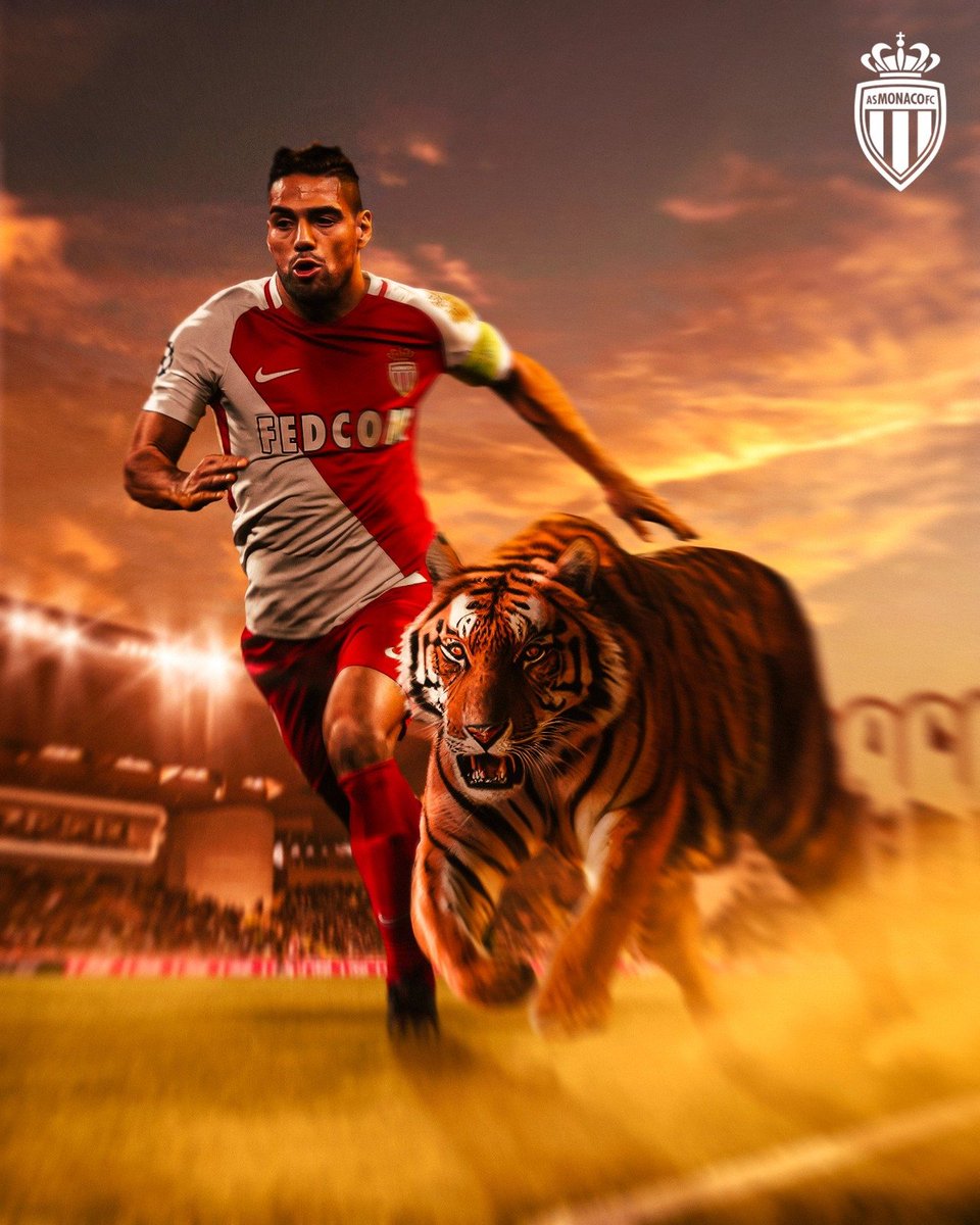 AS_Monaco_ES's tweet photo. ¿Día internacional del Tigre? 🐯
Feliz día, @FALCAO 🫶🇨🇴 https://t.co/66cRbq2Sro