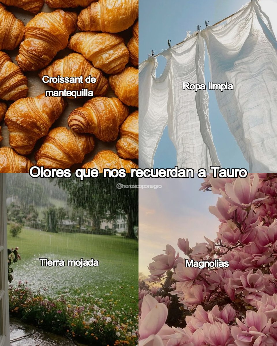 tauro_hn's tweet photo. ¿Hay alguien que te diga siempre que hueles a algo en concreto? 💭 https://t.co/M6CdCpPHR8