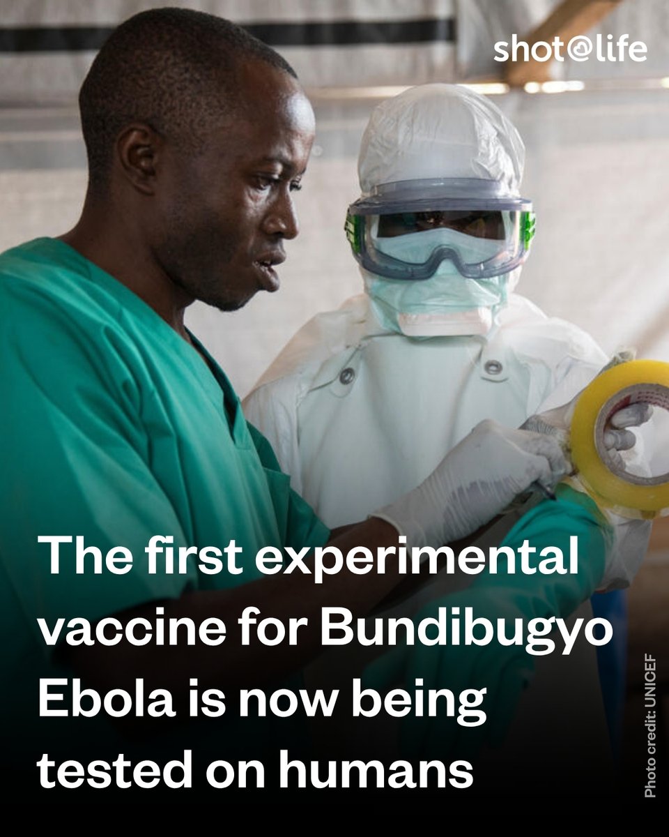 ShotAtLife's tweet photo. Bundibugyo Ebola is still spreading rapidly in the DRC. Now, an experimental vaccine is in phase 1 of human trials in the UK. While not an immediate solution, it marks an important step toward preventing Bundibugyo cases in the future. https://t.co/LHCkCS1oTu