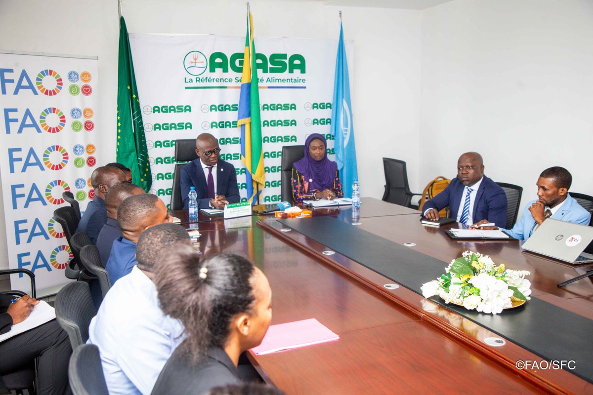 FAOAfriqueCent's tweet photo. À quelques jours de l'Atelier régional Afrique de la #CIPV 
une conférence de presse a réuni l'AGASA, la FAO, le Secrétariat de la CIPV et le CPI-UA à Libreville. 
Du 4 au 7 août, plus de 40 pays échangeront sur la protection des végétaux et la sécurité alimentaire en Afrique. https://t.co/ExDb91b4Re