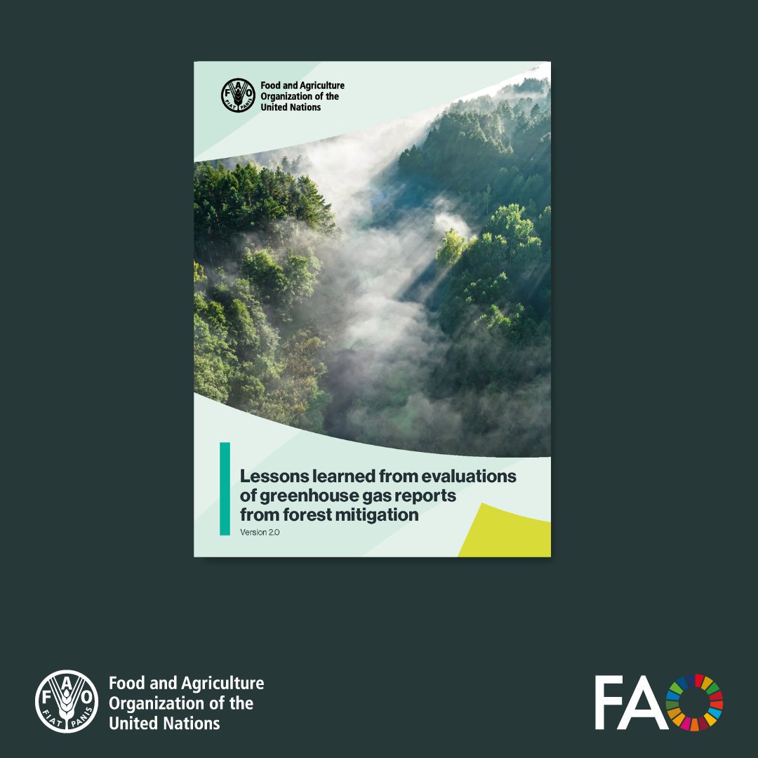 FAOKnowledge's tweet photo. Evaluations play a critical role in building trust in greenhouse gas reports.

This @FAO paper compares approaches across GHG programmes, highlighting key lessons learned for strengthening evaluation practices.

👉 https://t.co/bJbct1gQe4

#AIM4Forests https://t.co/KSXvr0IqXY