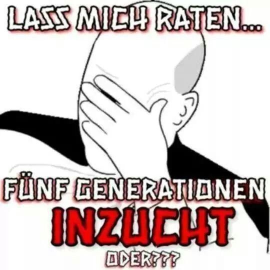 FckTikTok's tweet photo. @knalltueten_ag1 Das erinnert mich an diese Degenerierten Inzucht Produkte..... https://t.co/c6LXnDgkwj
