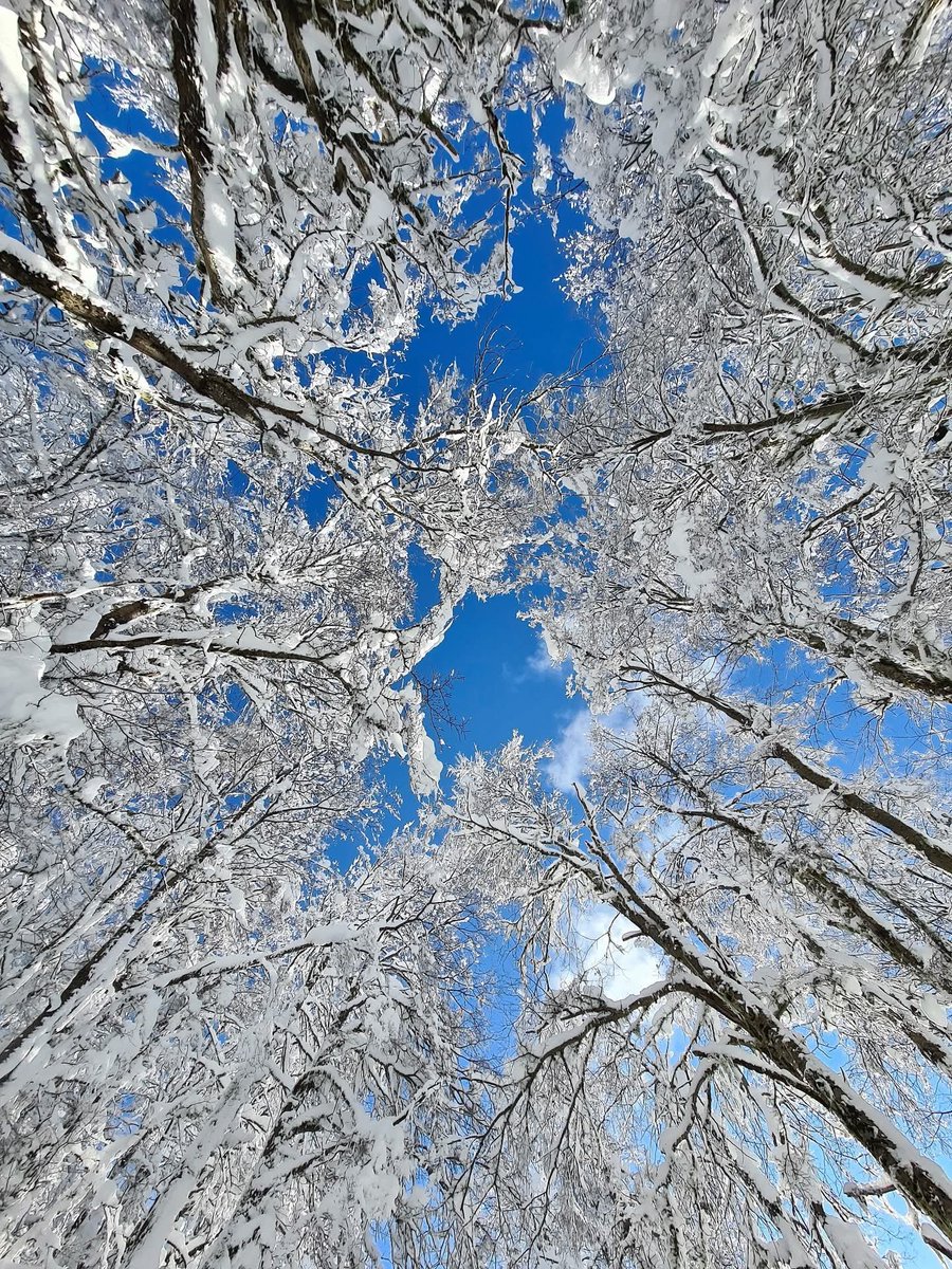turisargentina's tweet photo. Invierno en Bariloche, cómo salida de cuento ❄️☃️🇦🇷💙🙌

Fotos de @Bariloche_ar https://t.co/9dLJirmfqB