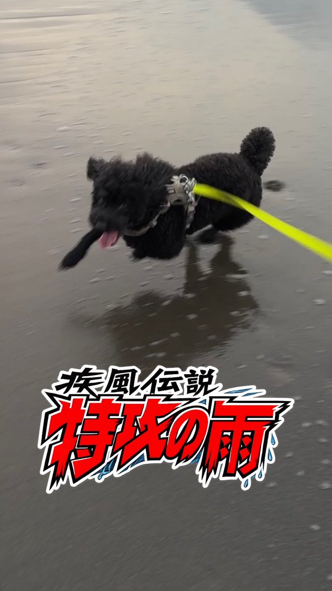 AToypoo's tweet photo. 昨日のビーチ爆走の記録

雨のインスタリールです🎥
https://t.co/lNRY01Xyxt https://t.co/8KzUePbopQ