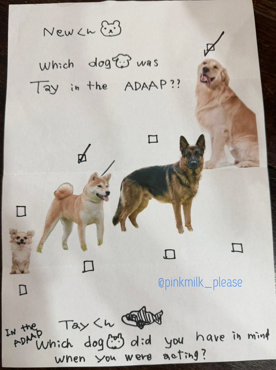 pinkmilk_please's tweet photo. ADAAPで、Totoはどんな犬だったか聞いてみた🐶

Tayくん→ゴールデンレトリバー
Newくん→柴犬

Tayくんの自認が優しい大型犬なの大正解😂
Newくんにとっては、もう少しかわいい中型犬に見えてたのも大正解😂

TAYNEW POLCASAN FAMSIGN
#งานมหกรรมนิยายนานาชาติ2026xTayNew
#เตนิว https://t.co/DYthAwqtOL