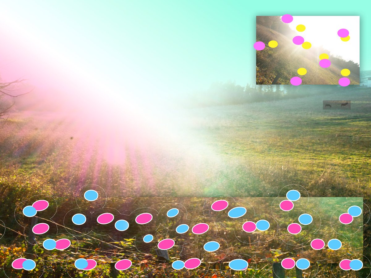 djrobotchien tweet picture