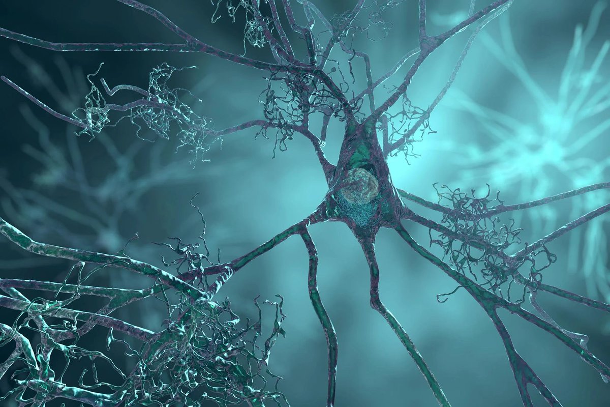 NightSkyToday's tweet photo. JUST IN🚨: Scientists say consciousness may not come from neurons, but from a hidden brain pathway where thoughts move at the speed of light. https://t.co/NLE7o5fDgw