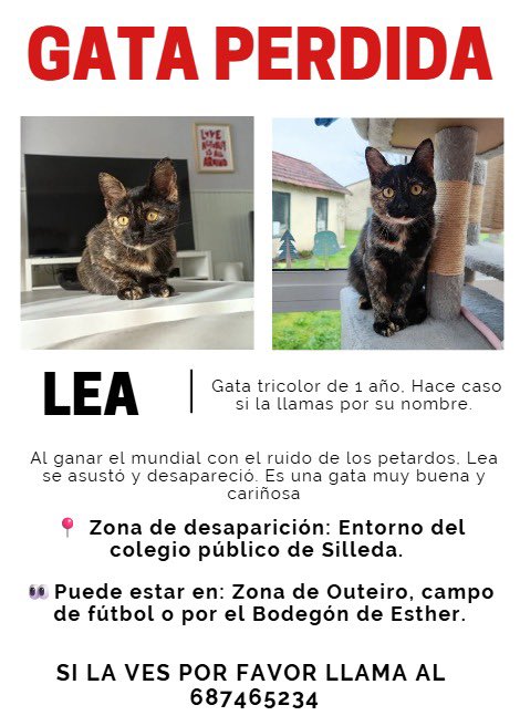 Abeiroanimal's tweet photo. Perdida en Silleda https://t.co/ohX1zSD795