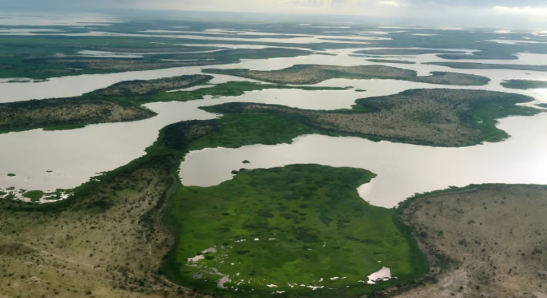 poaenglish's tweet photo. Can a $50B water project save Lake Chad & 50M lives?
#LakeChad has shrunk by nearly 90% since the 1960s, threatening communities across 4 countries. The ambitious #Transaqua plan aims to divert water from the #CongoBasin.
#PulseofAfrica #Chad #Lake #POA https://t.co/BqpxTGWCuQ