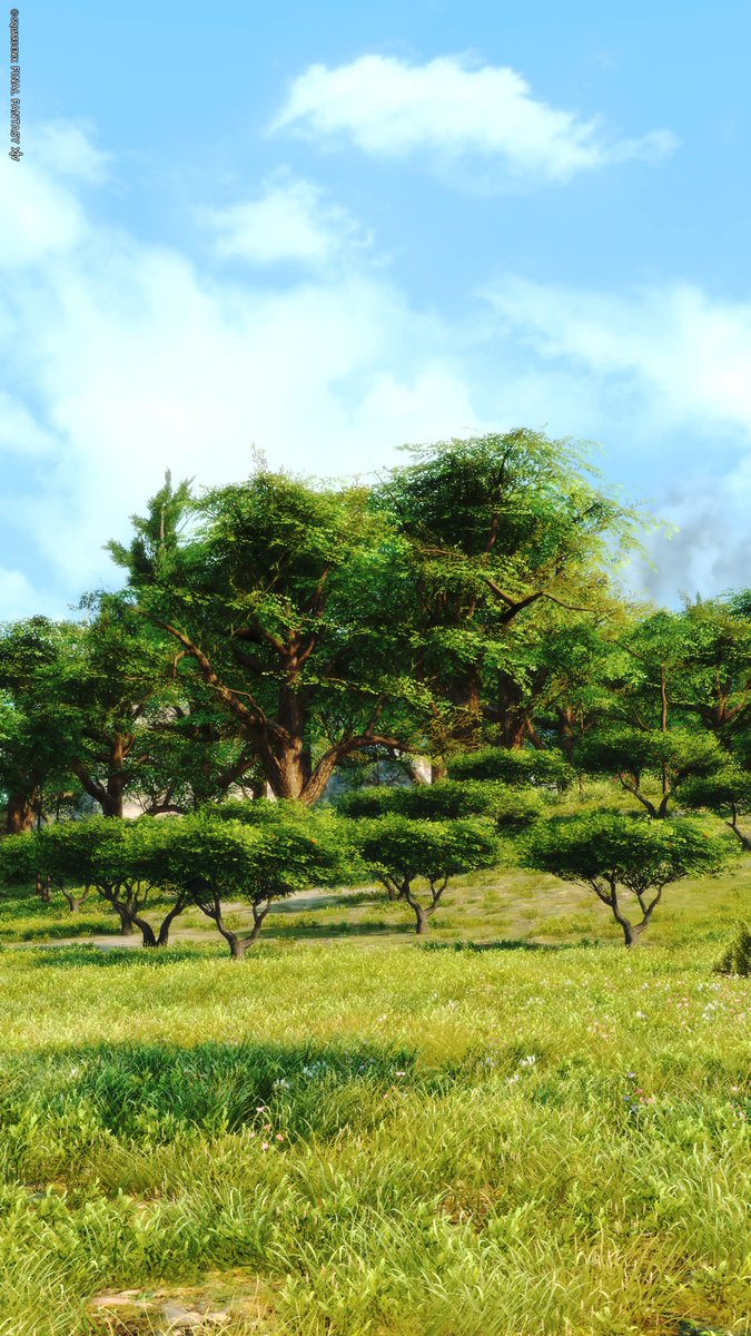 Rishido_Cuore's tweet photo. ☁️🌳🌲🌱

#FF14風景 https://t.co/0oZUwfhwEA