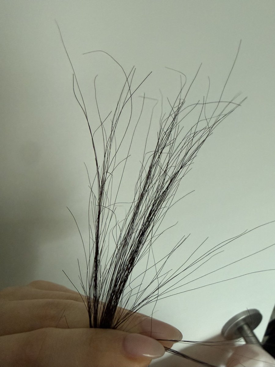 AadilAnsari06's tweet photo. My hair ends keep snapping no matter how many times I trim them... 😭💔 What's causing this? Has anyone else experienced this?#HairCare #HairProblems #SplitEnds #HairBreakage #HealthyHair #HairTips #HairJourney #BeautyCare https://t.co/zdBPcXvL50