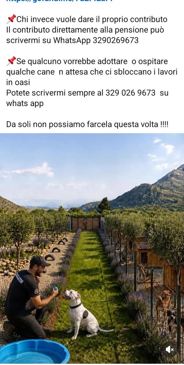 zampa_qua's tweet photo. STRAURGENTISSIMO 🆘🆘🆘🆘🆘🆘☎️3290269673🐾 TERESA HA BISOGNO CON URGENZA DI NOI,dopo tanti sacrifici e l'amore per i cani AIUTIAMOLA
https://t.co/UNdnECk21j #voiceless #aiuto #salvare #calabria @PaoloOchi @Emilystellaemi2 @luposilenzioso2 🙏😭😔 https://t.co/gxcMSKMiX5