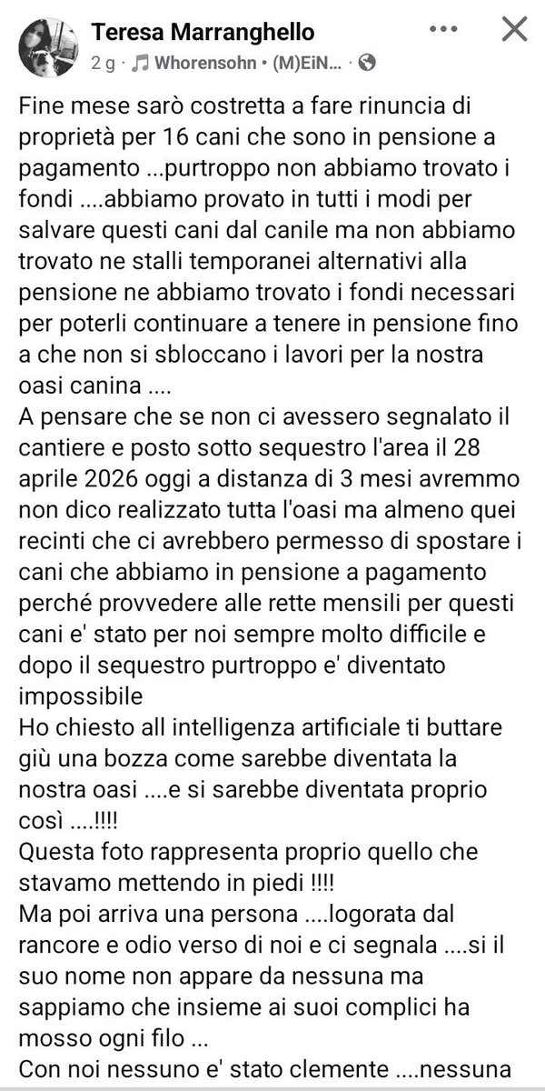 zampa_qua's tweet photo. STRAURGENTISSIMO 🆘🆘🆘🆘🆘🆘☎️3290269673🐾 TERESA HA BISOGNO CON URGENZA DI NOI,dopo tanti sacrifici e l'amore per i cani AIUTIAMOLA
https://t.co/UNdnECk21j #voiceless #aiuto #salvare #calabria @PaoloOchi @Emilystellaemi2 @luposilenzioso2 🙏😭😔 https://t.co/gxcMSKMiX5