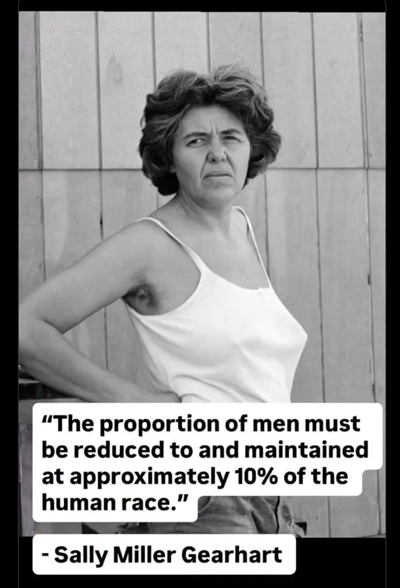 AntiFeminist tweet media