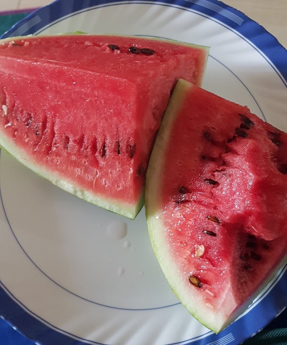 headarianator_'s tweet photo. watermelonsss😼😼‼️ https://t.co/Mv85gOqQKH