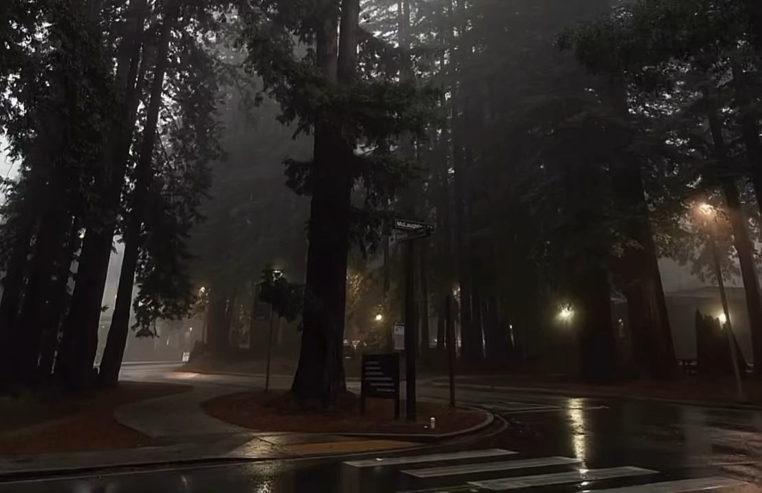 visualsofearth1's tweet photo. Pacific Northwest https://t.co/XlnwcGnLC1