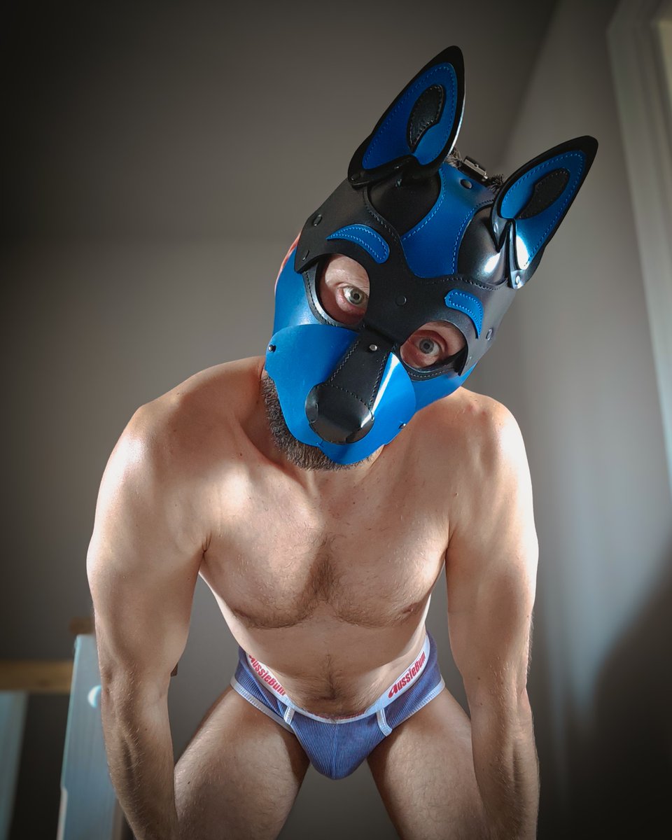 BM_1337's tweet photo. Woof there 💪🏻🐶🩲 https://t.co/rKVhNIXkNq