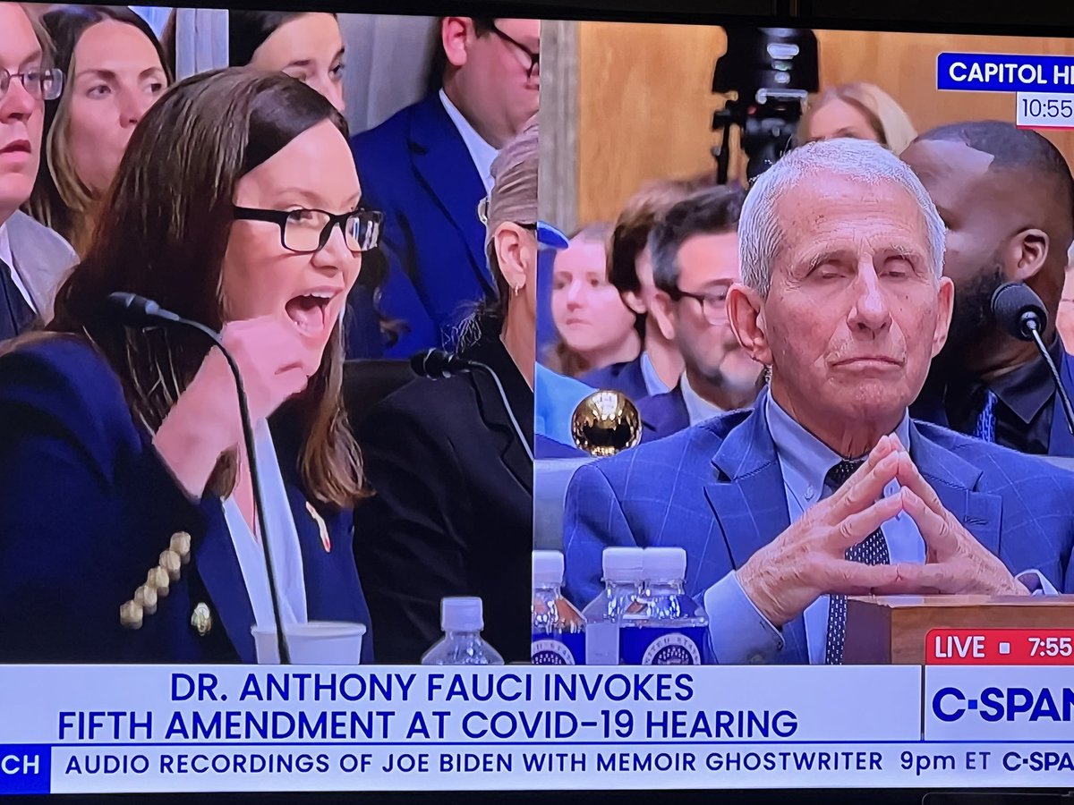 papalee's tweet photo. @Shawn_Farash Fifth Amendment Fauci. https://t.co/G7kCB8S1hu