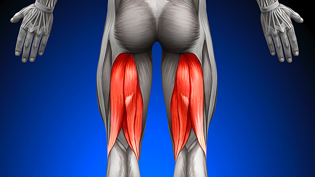 FitnessHacks101's tweet photo. One exercise isn’t enough for strong, balanced hamstrings! Discover why variety matters and how to level up your leg training. Check out the full article: https://t.co/ljEu60OGZe 

#hamstrings #legworkout #strengthtraining #fitness #workout #exercise #fitfam #wellness #motivation #getfit #healthylifestyle #training #active #noexcuses #transformation #gymmotivation #bodyweightworkout #FitnessHacks101
