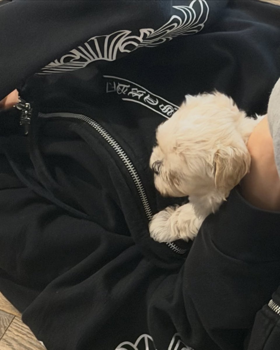 _bluustar's tweet photo. jiminie's pov 👀 https://t.co/MTCpnvufKP