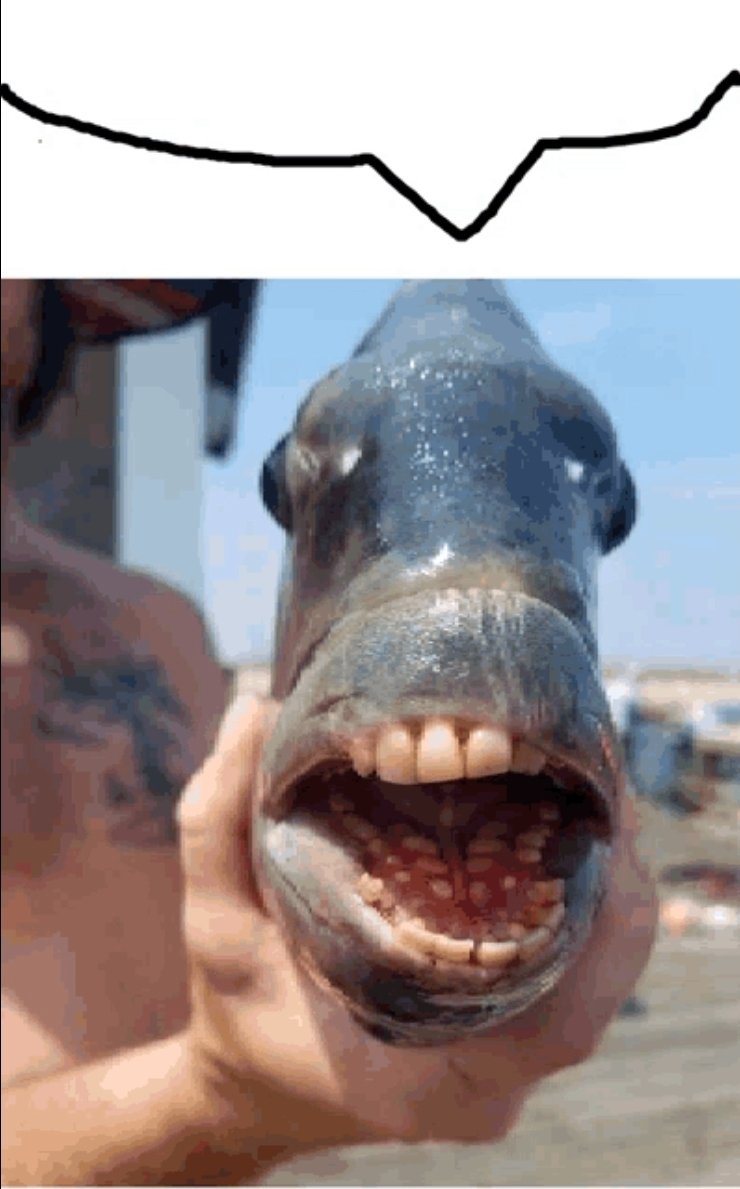 Pixelated_Kris's tweet photo. @Jimbob2404 @mushycrouton Nothing funnier than a triggered Limey https://t.co/VMh3c3i1VX