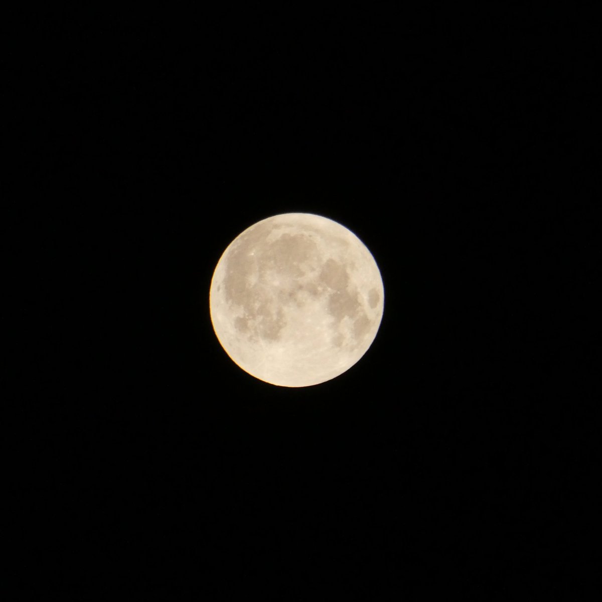 yktokyo2's tweet photo. 2026年7月29日(水)23:36
水瓶座満月「バックムーン」🌕

いろんなことがある世の中ですが
一緒に力合わせて幸せになってけるよう
私も今自分にできることをやっていきたいと誓った、そんなパワフルな満月です！！ https://t.co/4Mazg7C5b1