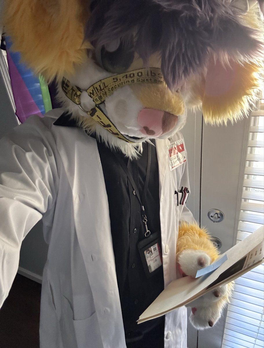 figsthedog's tweet photo. scp stuff is pretty coooool

#furry #fursuit #scp #cosplay https://t.co/doS91ZamaG