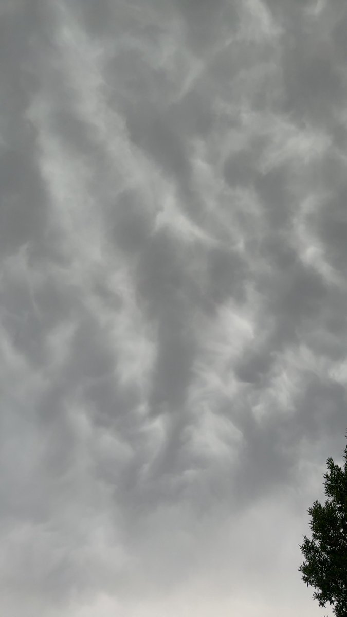 8ii_vi's tweet photo. الاجواء ترحب ب اغسطس🤩 🌧️ https://t.co/ZfR80cYXAO