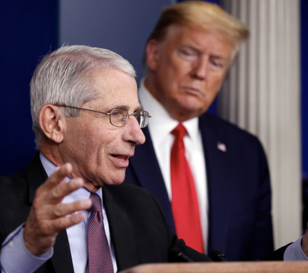 dr_johnny_fever's tweet photo. Anthony Fauci has now pled the 5th over 80 times. https://t.co/WfSIEeTwF6