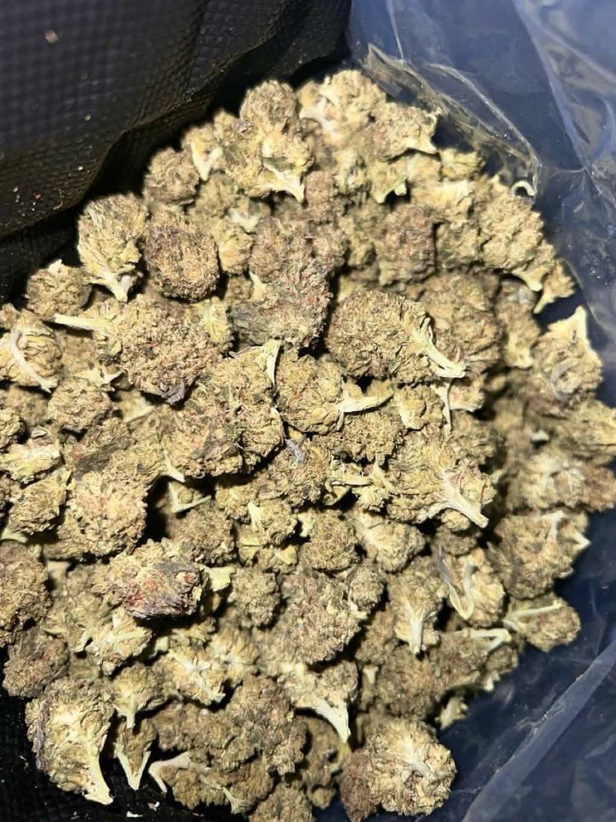 Jessalin242952's tweet photo. Y’all should get weed in Turkey 
Y’all should get weed in Istanbul 
Y���all should get weed in Ankara
Y’all should get weed in Izmir
Y’all should get weed in konya
Y’all should get weed in Bursa
Let’s keep the shit real (🍀) https://t.co/UbuHAiWXZK