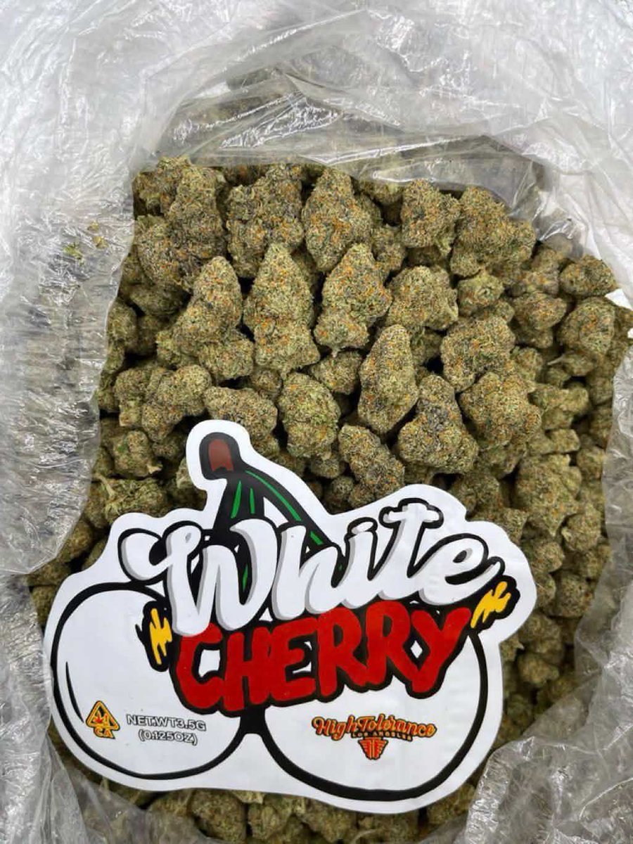 Jessalin242952's tweet photo. Y’all should get weed in Turkey 
Y’all should get weed in Istanbul 
Y���all should get weed in Ankara
Y’all should get weed in Izmir
Y’all should get weed in konya
Y’all should get weed in Bursa
Let’s keep the shit real (🍀) https://t.co/UbuHAiWXZK