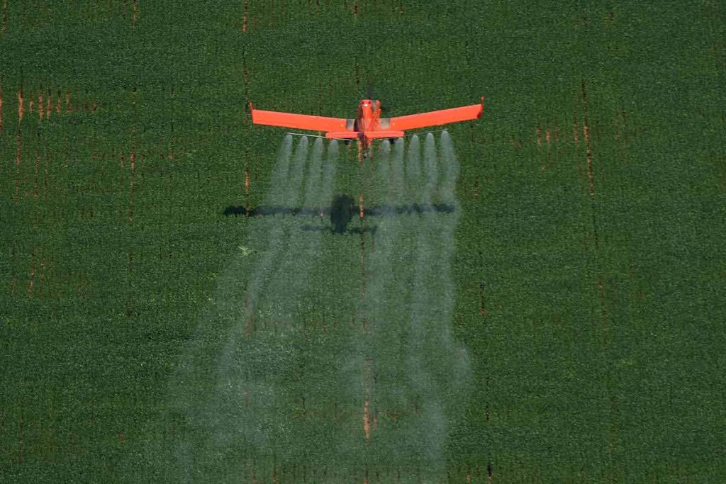Red__Accion's tweet photo. El agronegocio lo hizo: epidemia de abortos espontáneos e hipotiroidismo en ciudades con uso de agrotóxicos

9 pueblos dedicados al agro transgénico y el aumento alarmante de embarazos que no llegan a término y de casos de hipotiroidismo. https://t.co/8iK6fsm4ZL Por @Tierra_Viva_ https://t.co/aL6ZYW4IAw