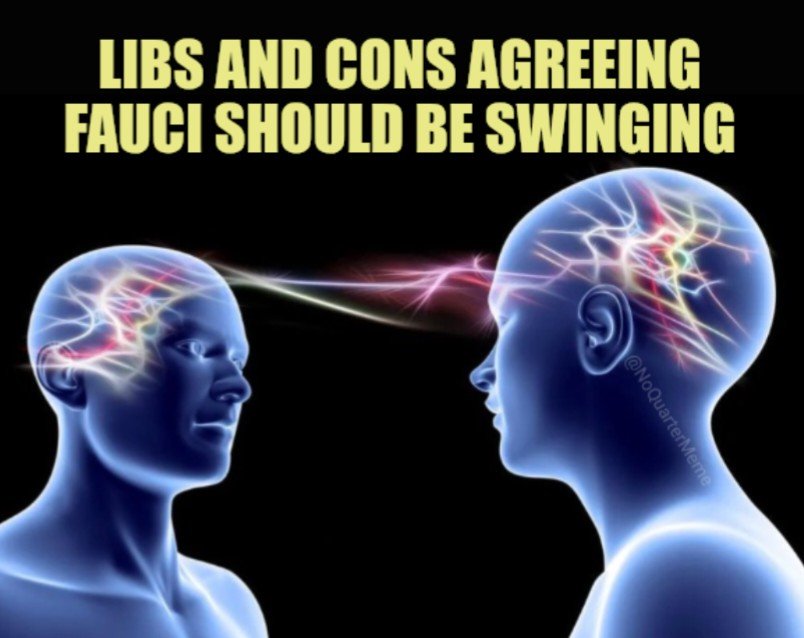 NoQuarterMeme's tweet photo. America hasn't been this united for 25+ years 💪👇 https://t.co/Ff0yWrqJMR