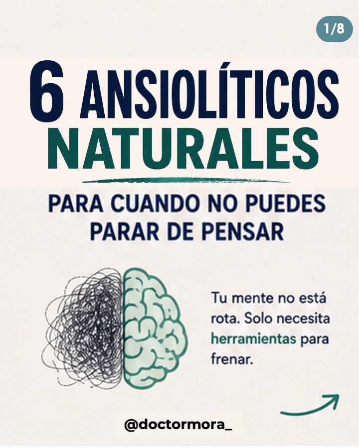 isafernan's tweet photo. 6 ANSIOLÍTICOS NATURALES PARA CUANDO NO PUEDES PARAR DE PENSAR
🧵 https://t.co/cAOZYhpYN0