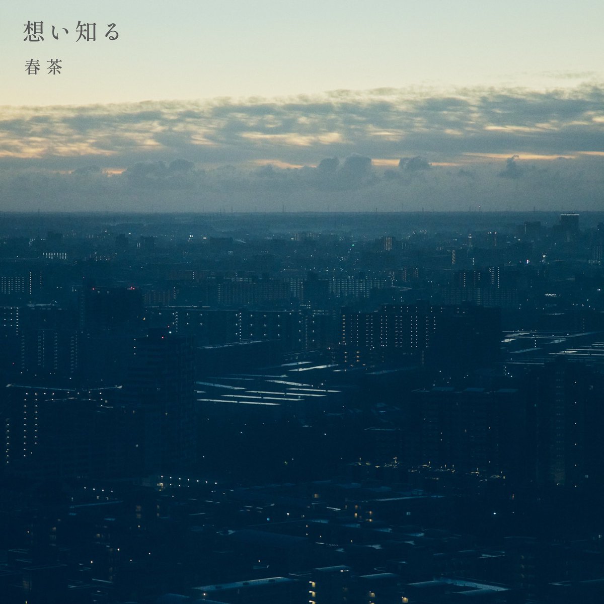 春茶 tweet media