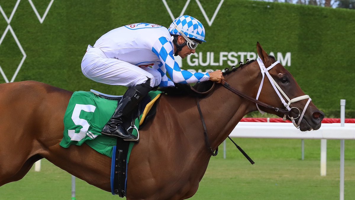 JFDAngelo's tweet photo. Amande • Leonel Reyes • Jose Francisco D’Angelo 

#GulfstreamPark | #RoyalPalmMeet | #HorseRacing https://t.co/eZq2ixWvfa