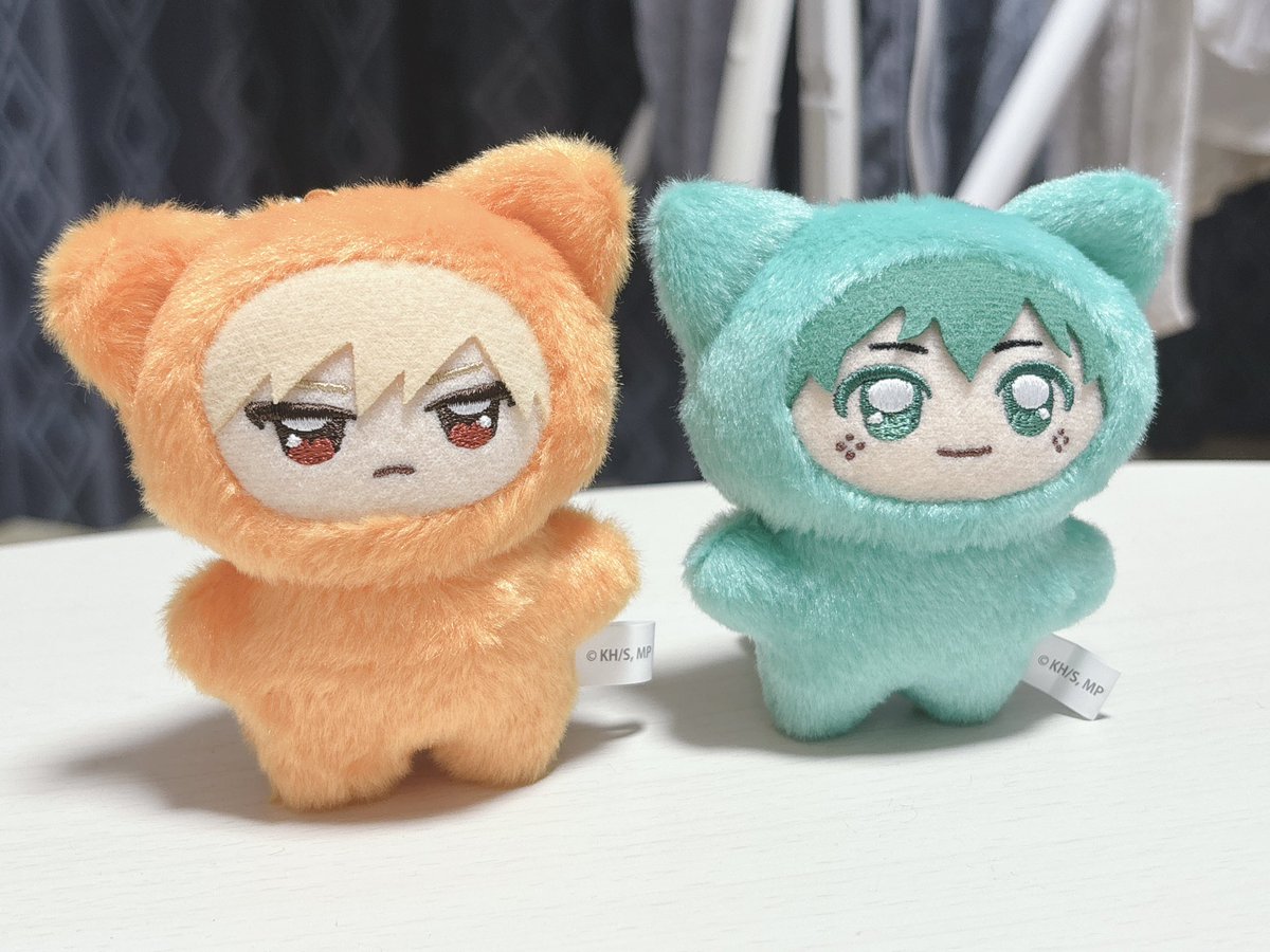 ersn_x's tweet photo. うちにチミ勝デが来た!!!!!!
(ちみデクくんは相互さんのぶんです) https://t.co/usRXUUmo4u