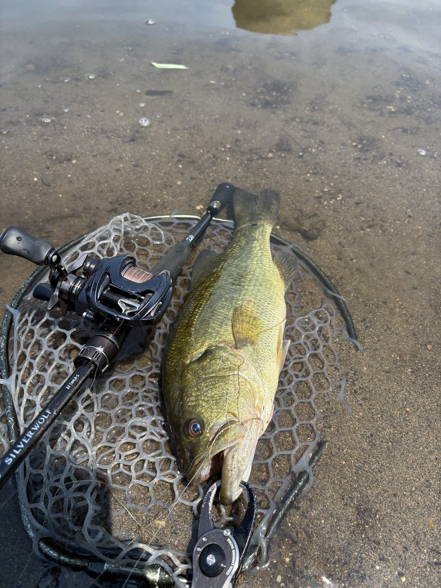 HN_315's tweet photo. 浜名湖チニング遠征の帰りにTOPバトラーさんに寄り道
ケイテックの中川さんも来てくださり宮平さんとのトークを聞いてたら船の時間が😅
次はもっと時間を作っていきたい！
九州に帰ったら寄り道で大野川チニング２６枚
ゲストに初のバス
休憩しながらいい釣りできた！
楽しいチニングtripだった https://t.co/bbX62rIFec
