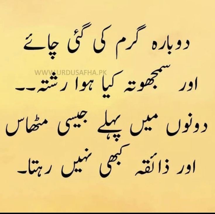 shafiq_51's tweet photo. https://t.co/773pNweRlQ