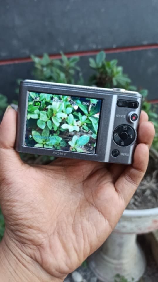 Nana🌱||WTS Digicam||🕊 tweet media