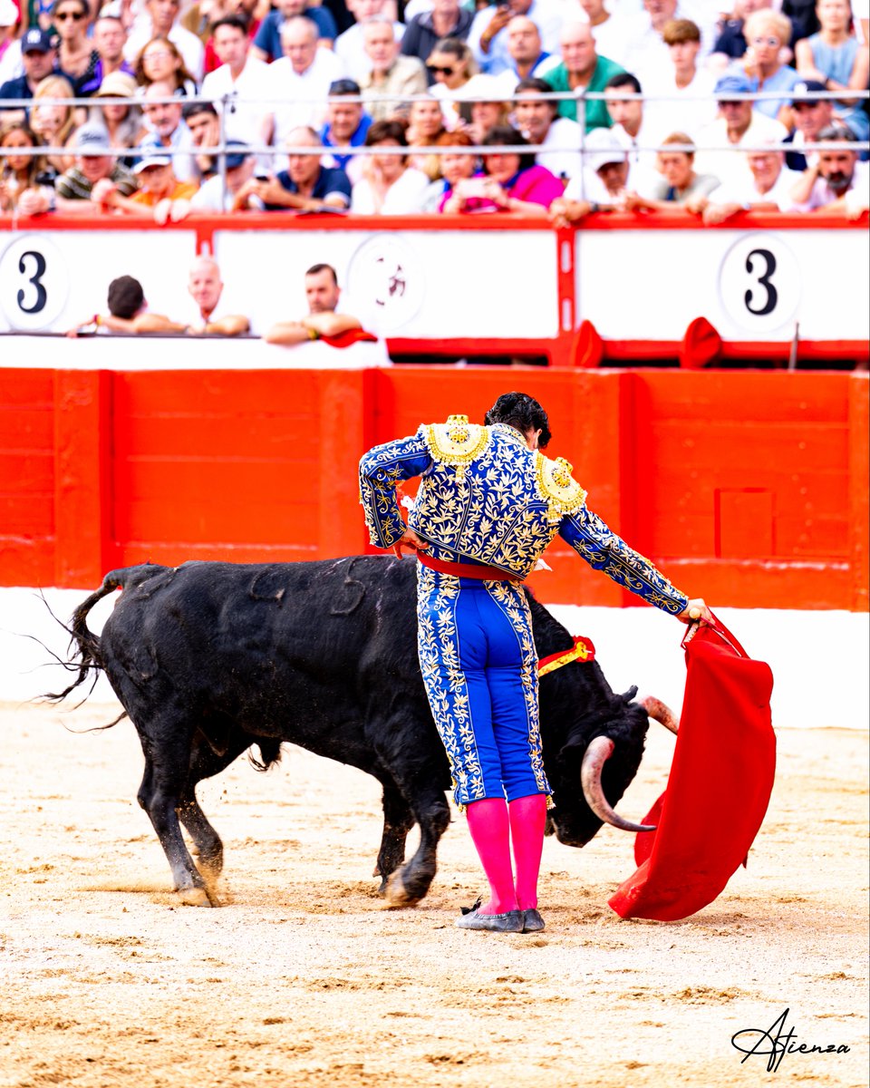 Atienza_Edu's tweet photo. 📸 • Morante de La Puebla. Santander 2026.
•
•
•
Fotografías originales de Edu Atienza.
@lancesdefuturo 
#Toros #Cultura #Santander https://t.co/7XHAAgcXoP