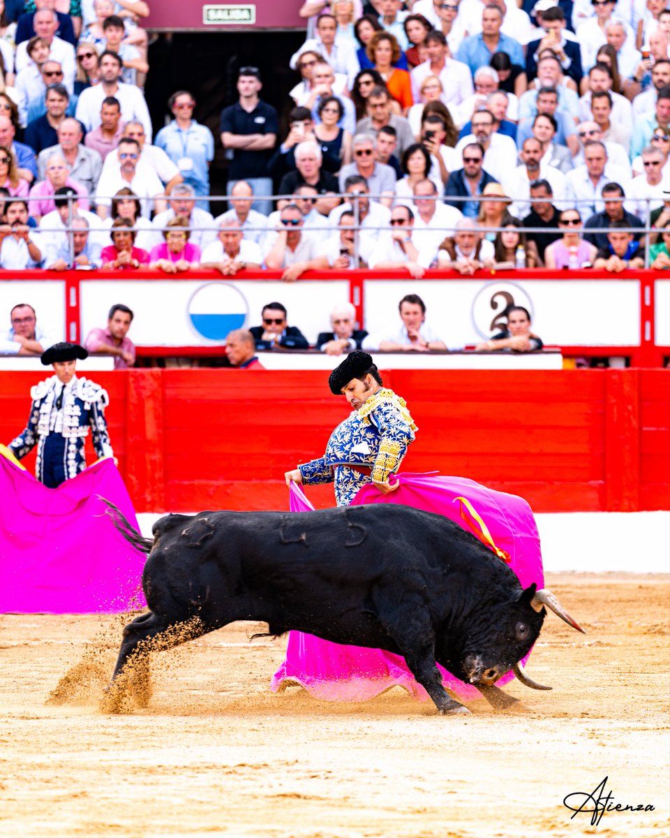 Atienza_Edu's tweet photo. 📸 • Morante de La Puebla. Santander 2026.
•
•
•
Fotografías originales de Edu Atienza.
@lancesdefuturo 
#Toros #Cultura #Santander https://t.co/7XHAAgcXoP