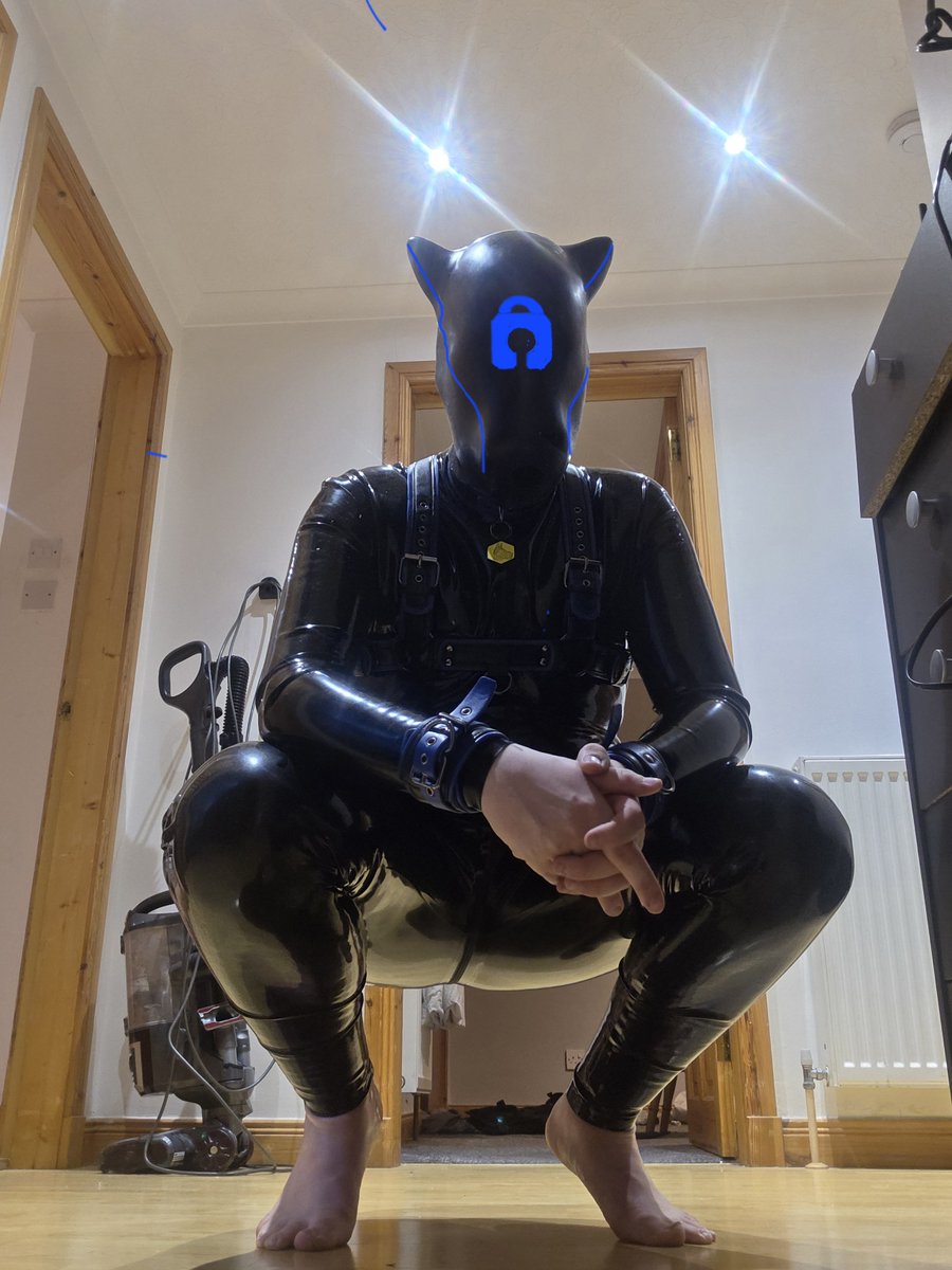 Shirouwolf27's tweet photo. @furrjoi01 Its designation is SYN-004 (Shame my previous hood was damaged though and written off) https://t.co/Z1abo2yeM7