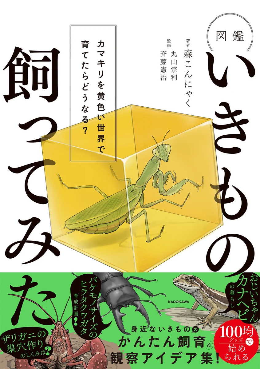 X-এ KADOKAWAライフスタイル編集部: 