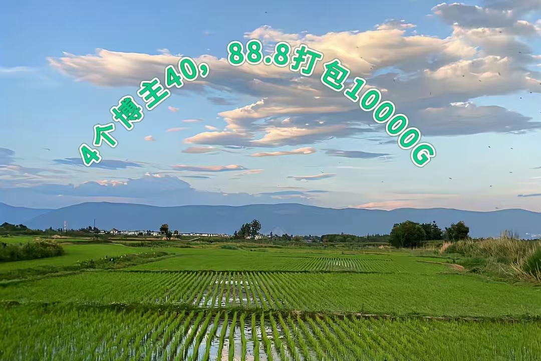 KaityPickering's tweet photo. daidai77，胡椒籽
肖雅婷，Kelvin9789，困困狗
采精的小蝴蝶，菠萝酱
季雨，亲姐的诱惑
mocanyo
深情小K，一只顶美
buy1take2，艾悠
杨晨晨，黑椒盖饭
电击萌王，鹿八岁baby
bibicouple
muyan00，菠萝啤beer https://t.co/NYRUTqBTke