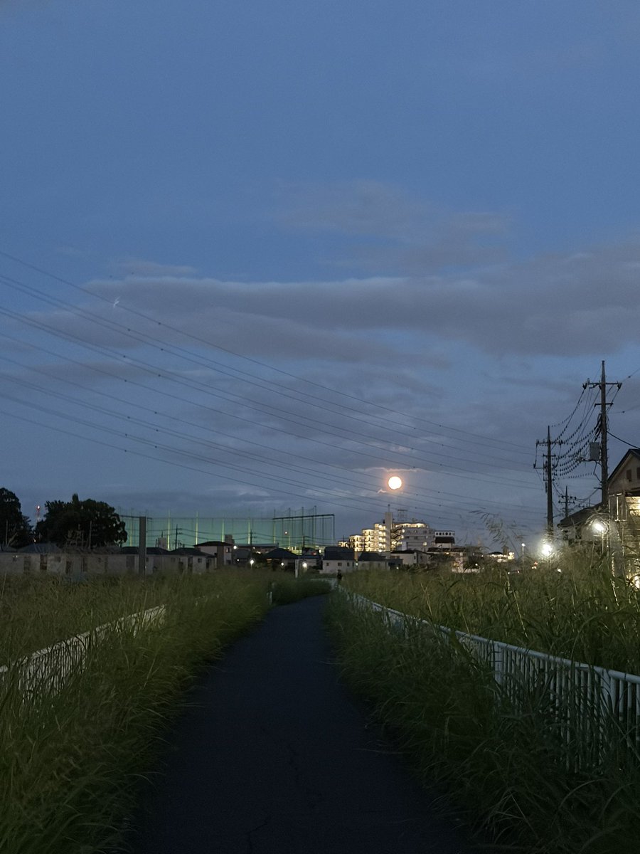 run44653 tweet picture