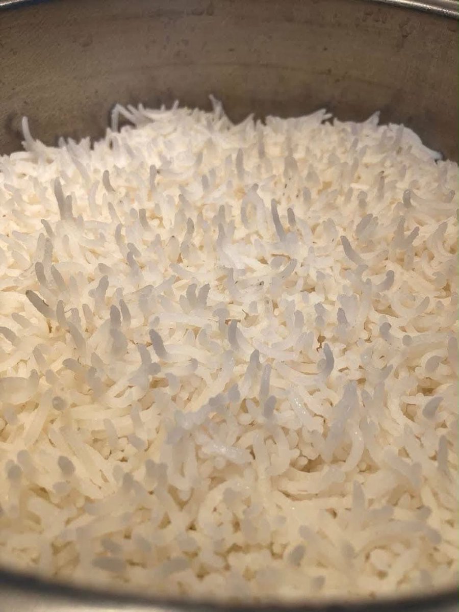 imerm_jr's tweet photo. I’ve never seen cooked rice look like this before
What type of rice is this?🤌🏾 https://t.co/Oi7RYlVmtk