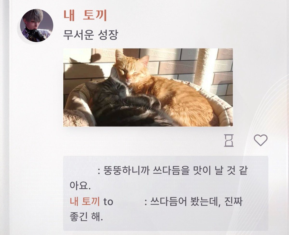 mong9t's tweet photo. 성훈이와 고양이 https://t.co/hmR2Il6T0t